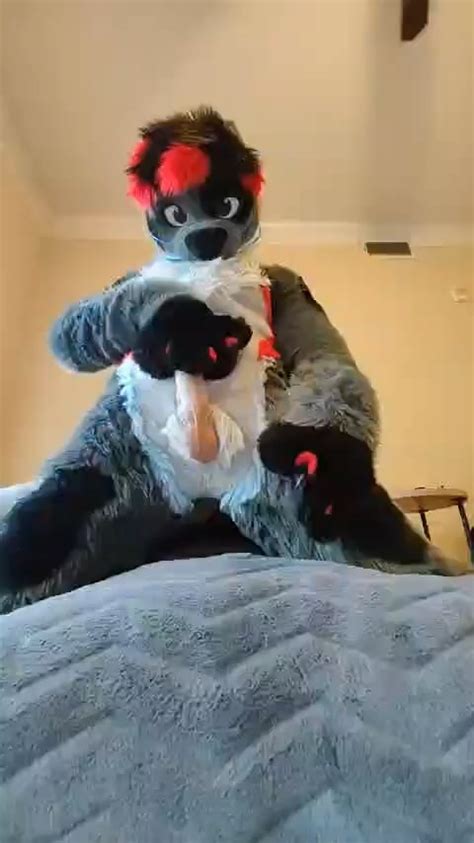 furry hmv|(18+ Furry HMV 2D) Just F*ck .
